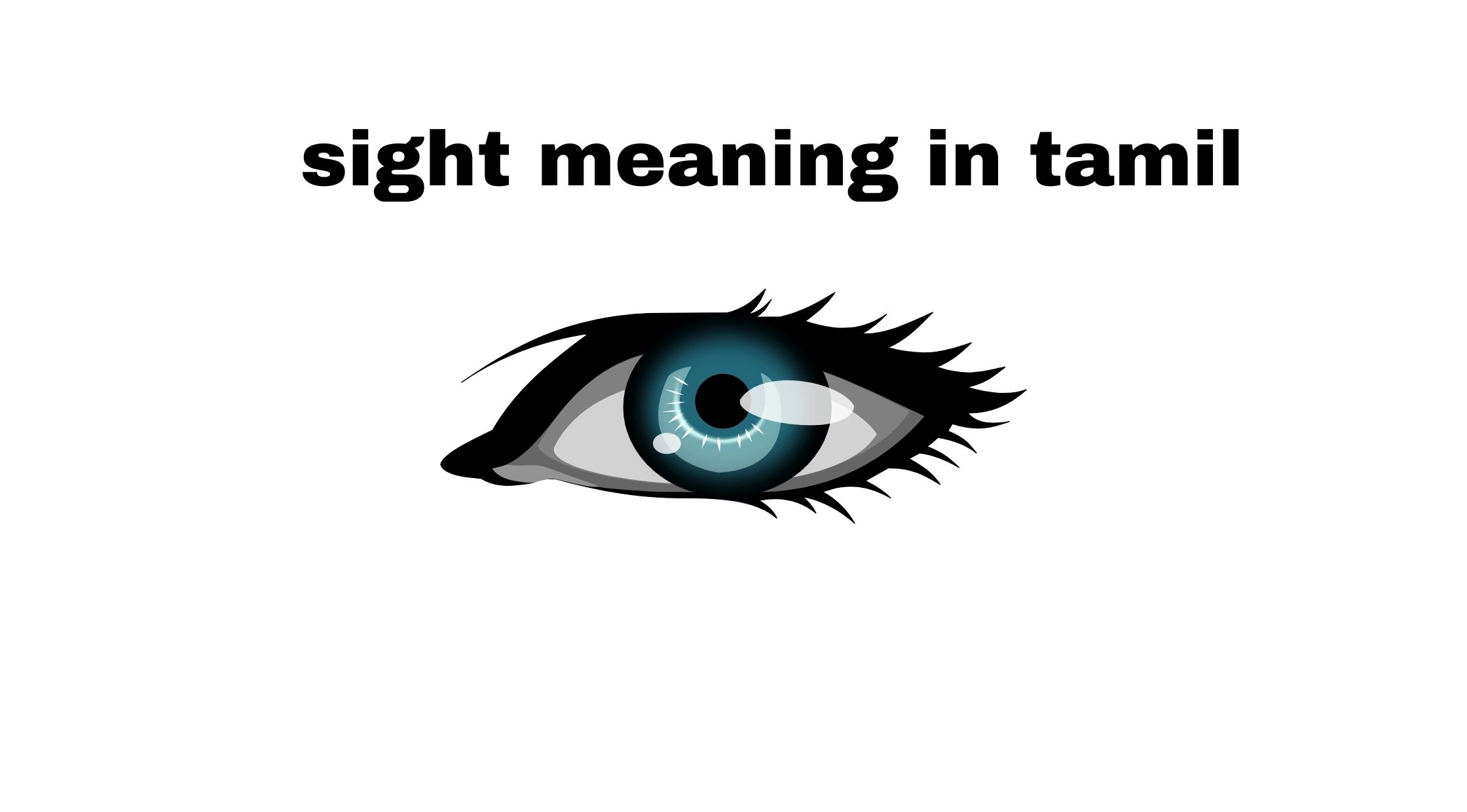 Sight Meaning in Tamil